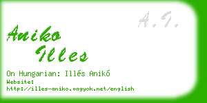 aniko illes business card