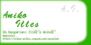 aniko illes business card